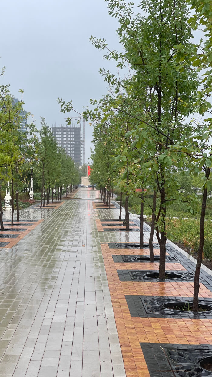 Приствольная решетка для дерева ZKING CRUST 1.2х1.2м Черная в Иваново фото