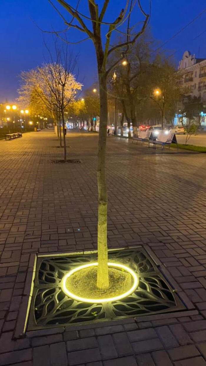 Приствольная решетка для дерева ZKING CRUST 1.2х1.2м Черная в Иваново фото